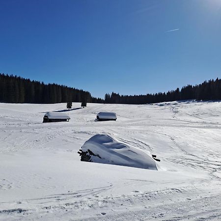 Villa Pokljuka Zgornje Gorje Zewnętrze zdjęcie
