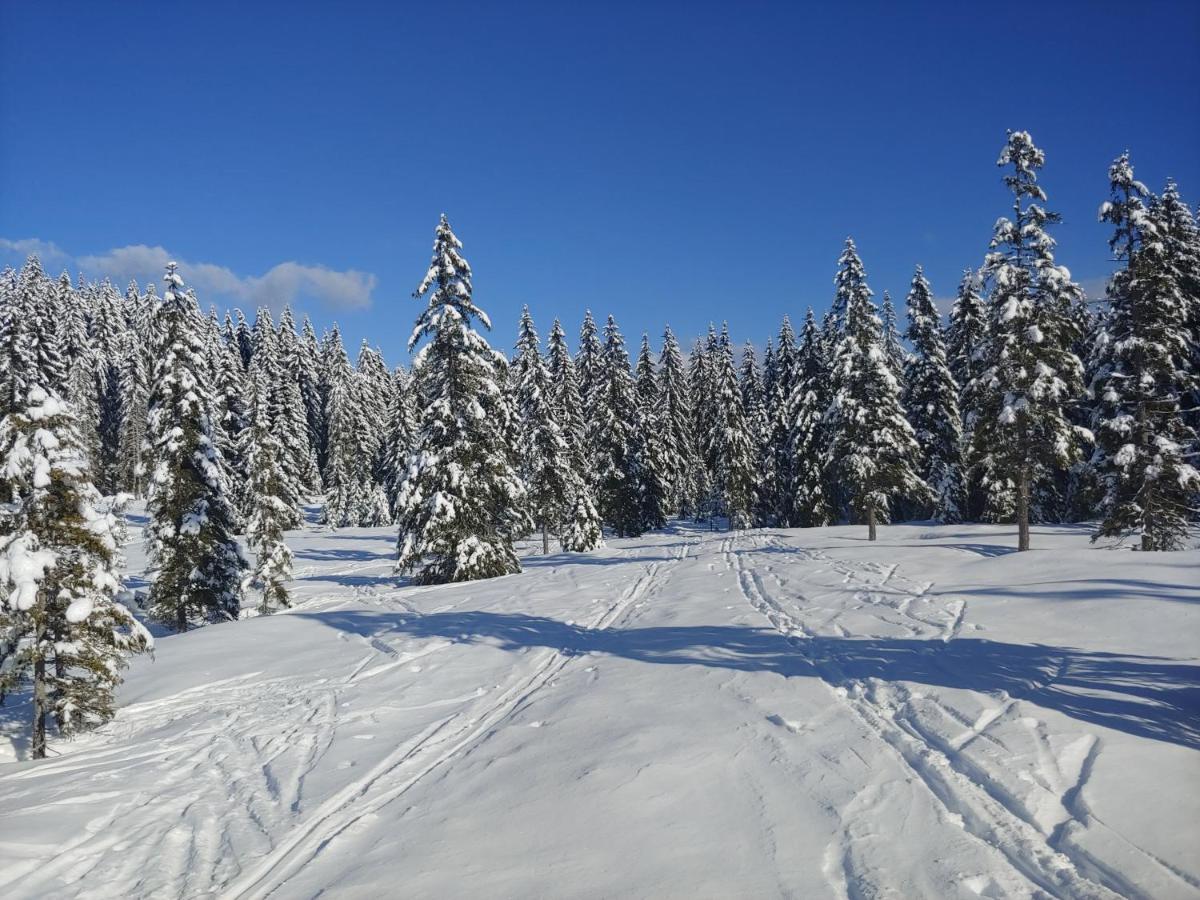 Villa Pokljuka Zgornje Gorje Zewnętrze zdjęcie