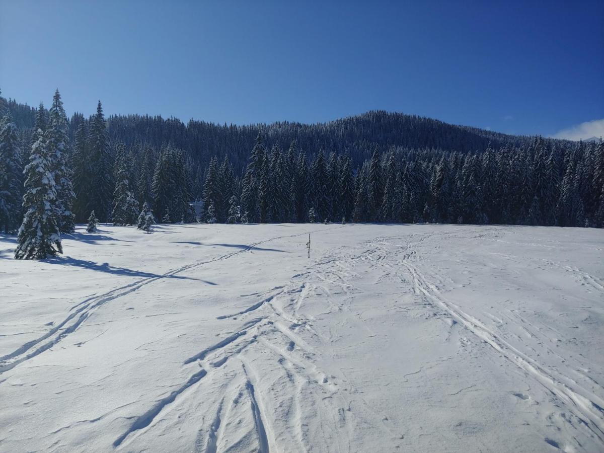 Villa Pokljuka Zgornje Gorje Zewnętrze zdjęcie
