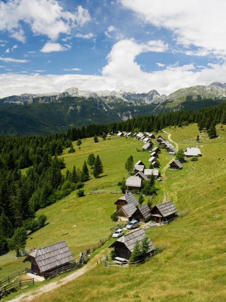 Villa Pokljuka Zgornje Gorje Zewnętrze zdjęcie