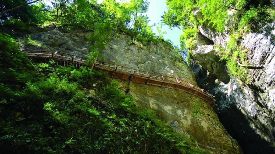Villa Pokljuka Zgornje Gorje Zewnętrze zdjęcie