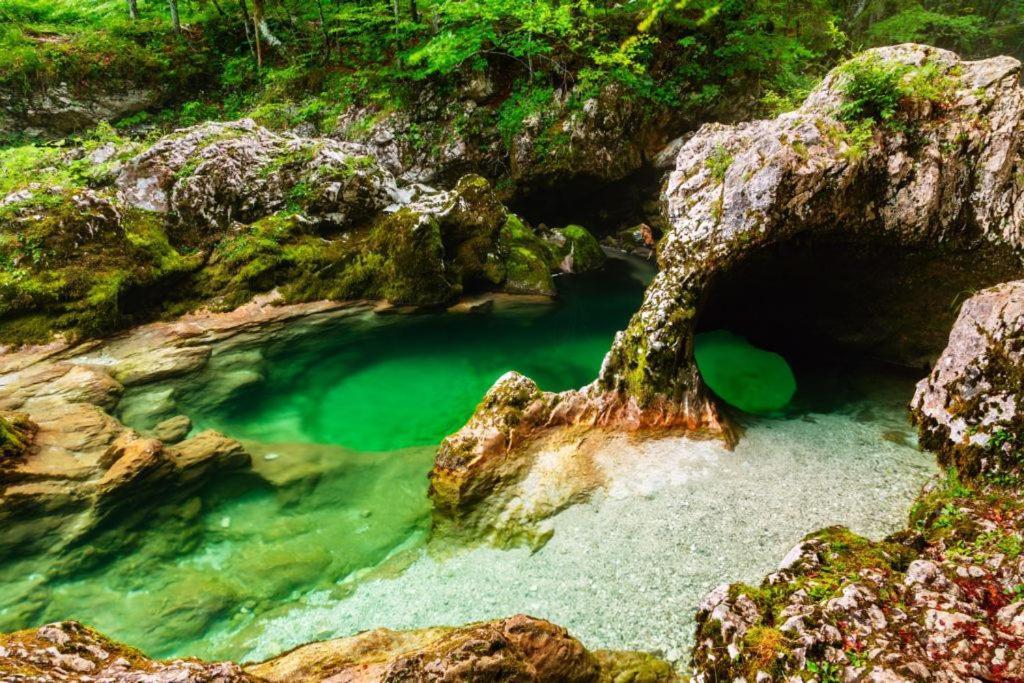 Villa Pokljuka Zgornje Gorje Zewnętrze zdjęcie