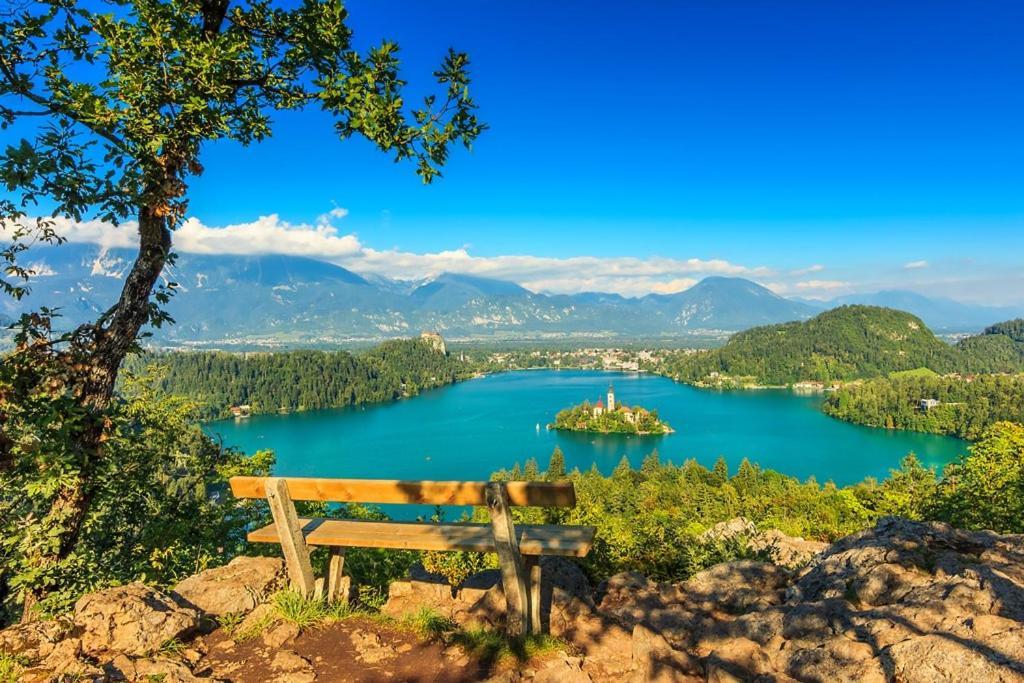 Villa Pokljuka Zgornje Gorje Zewnętrze zdjęcie
