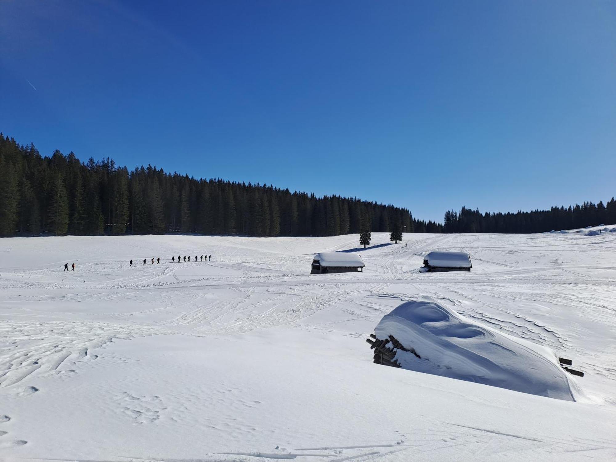 Villa Pokljuka Zgornje Gorje Zewnętrze zdjęcie