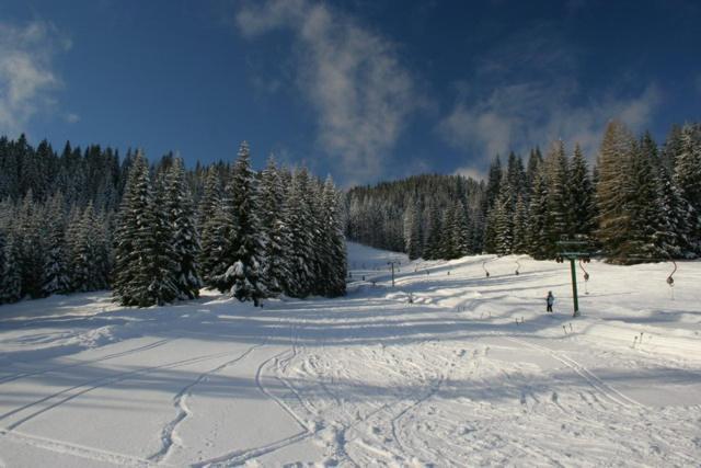Villa Pokljuka Zgornje Gorje Zewnętrze zdjęcie