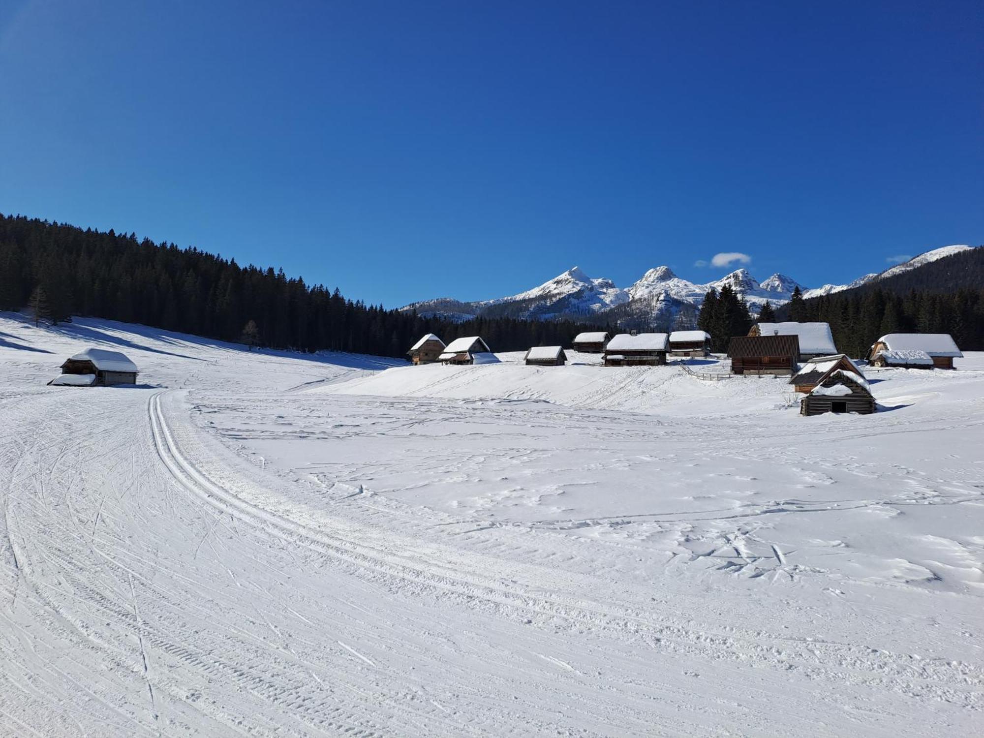 Villa Pokljuka Zgornje Gorje Zewnętrze zdjęcie