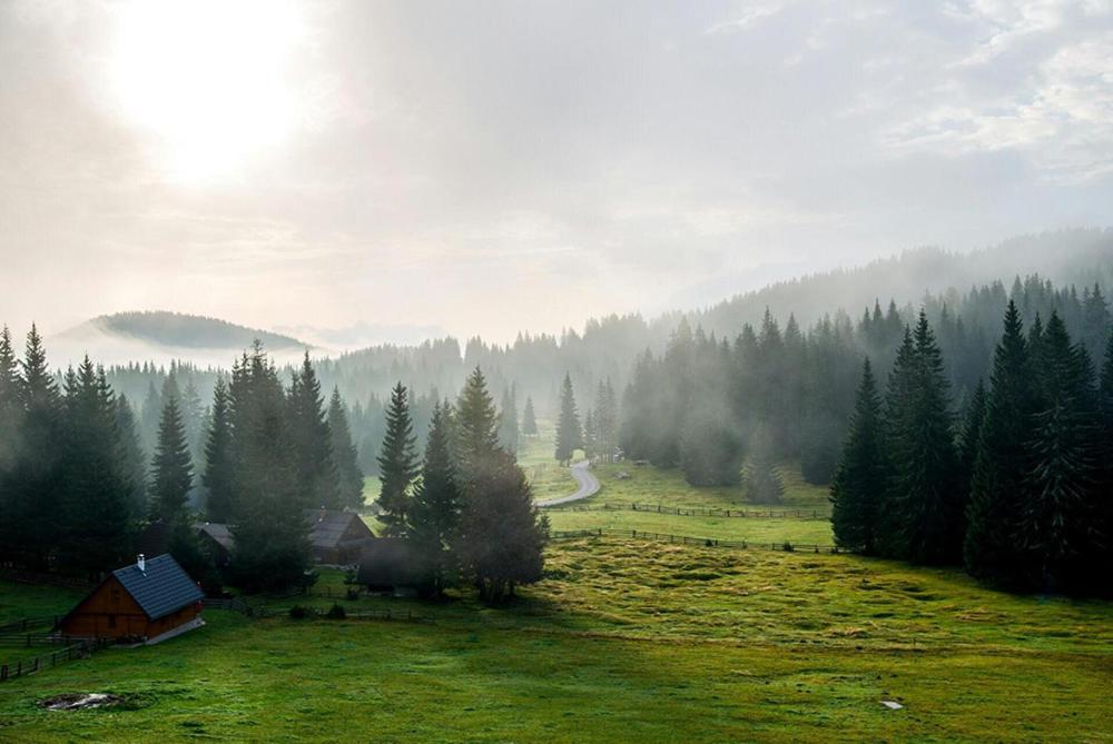 Villa Pokljuka Zgornje Gorje Zewnętrze zdjęcie