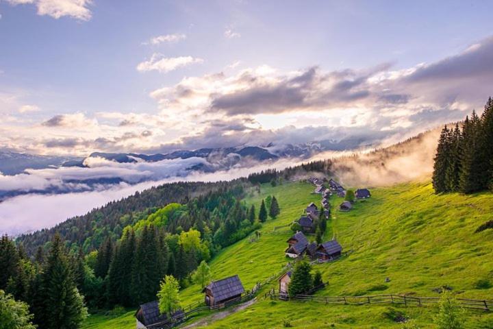 Villa Pokljuka Zgornje Gorje Zewnętrze zdjęcie