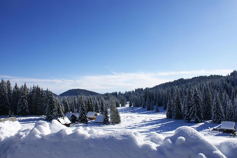 Villa Pokljuka Zgornje Gorje Zewnętrze zdjęcie
