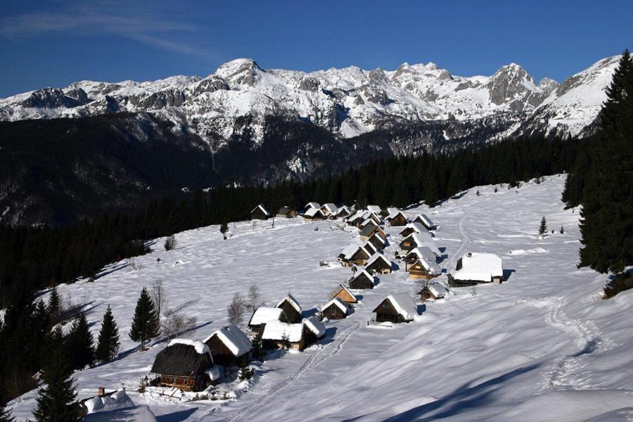 Villa Pokljuka Zgornje Gorje Zewnętrze zdjęcie